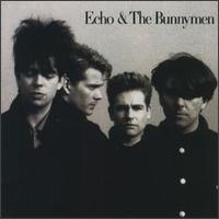 echo&thebunnymen.jpg (6509 bytes)