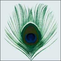 applevenus.jpg (9908 bytes)